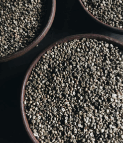 100% Arabica Coffee AA, A, AB Min Order 1 Ton (1000 kg)