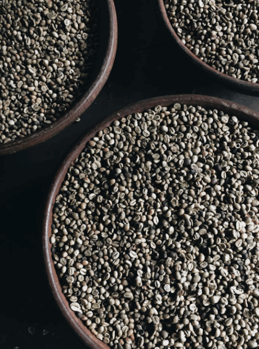 100% Arabica Coffee AA, A, AB Min Order 1 Ton (1000 kg)